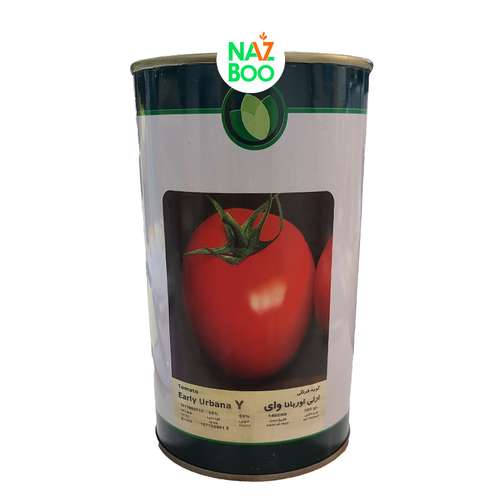 بذر_گوجه_فرنگی_ارلی_اوربانا_وای