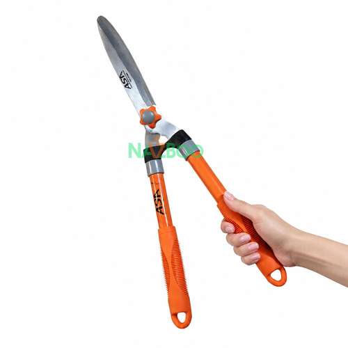 عکس قیچی شمشاد زن آ اس آ