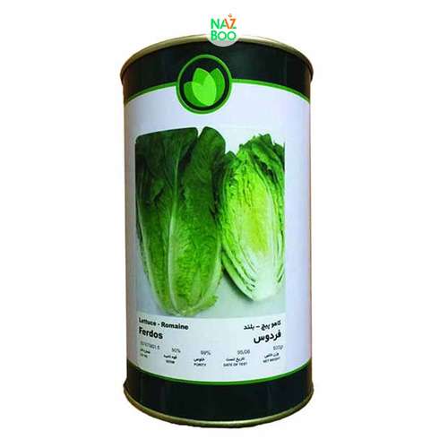 بذر کاهو فردوس فلات