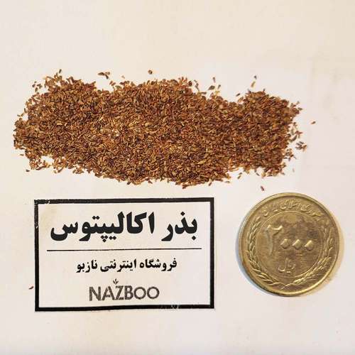 بذر اکالیپتوس