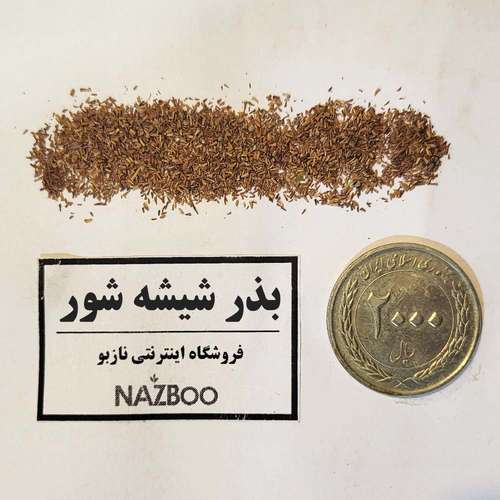 بذر شیشه شور