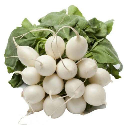 بذر تربچه سفید گرد
