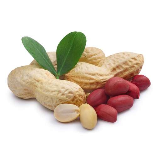 بذر بادام زمینی