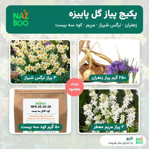 پکیج پیاز گل پاییزه نازبو (زعفران، نرگس شیراز، مریم + کود)
