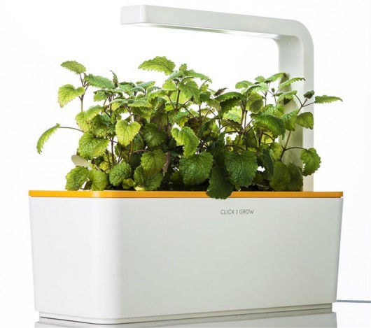 معرفی گلدان هوشمند Smart Herb Garden