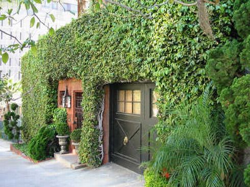 green wall