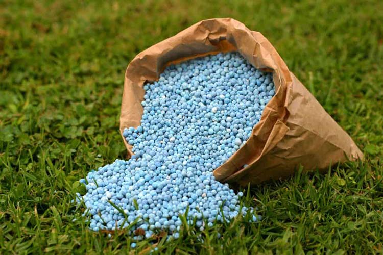 آشنایی با انواع کود NPK