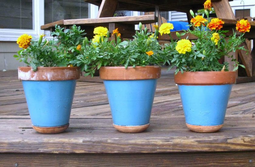 انواع گلدان و راهنمای خرید