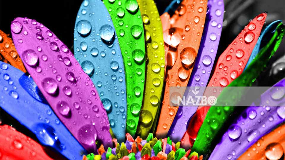 معرفی انواع گل های خوشبو