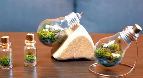 ساخت باغ شیشه ای در لامپ
