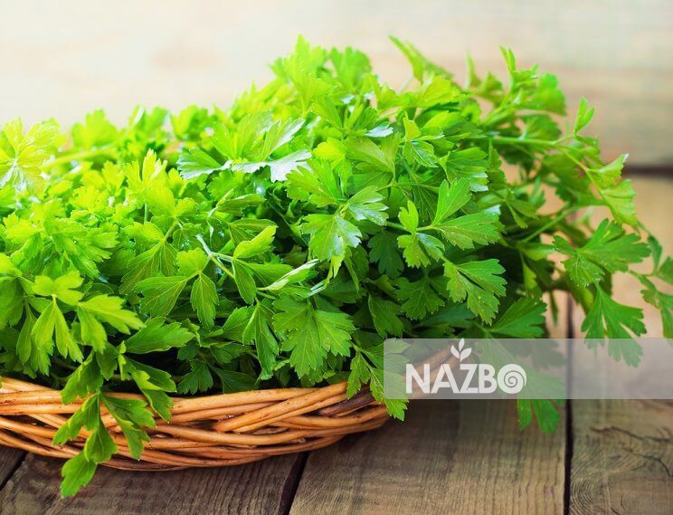 جعفری و خواص شگفت انگیز آن برای سلامتی