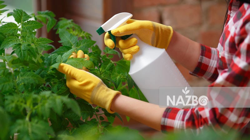 روش‌های طبیعی برای مبارزه با آفات