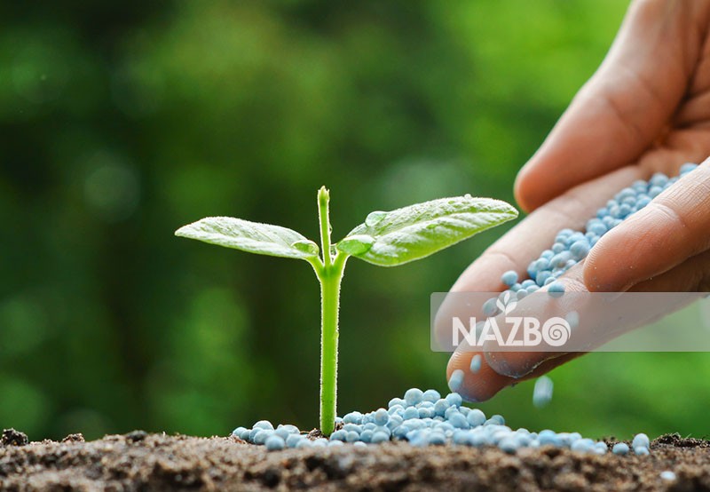 آموزش اصول کوددهی