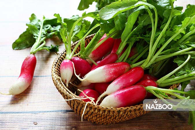 خرید تربچه انگشتی دورنگ