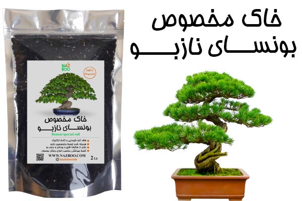 فروش خاک بونسای