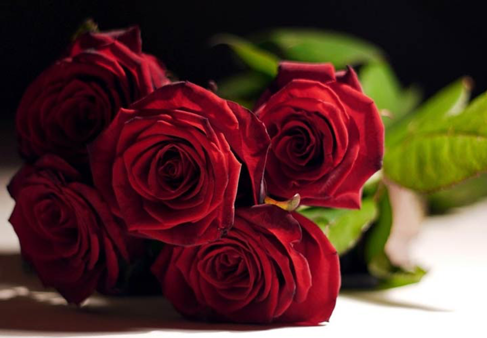 ویژگی خاص گل‌های زیبای جهان