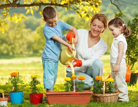 در مرداد ماه چه بکاریم؟
