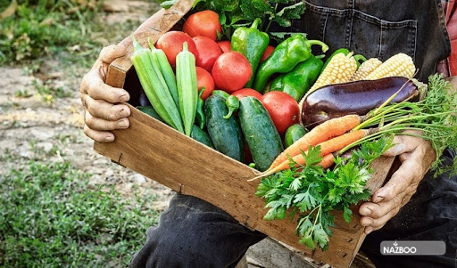 Planting vegetable plants in the fall