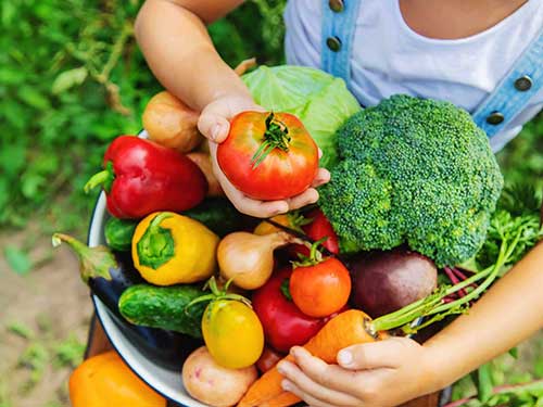 در مهر چه بکاریم؟ راهنمای کاشت سبزی، گل و پیاز گل در مهر ماه
