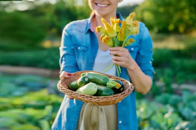 راهنمای مرجع برای کاشت کدو