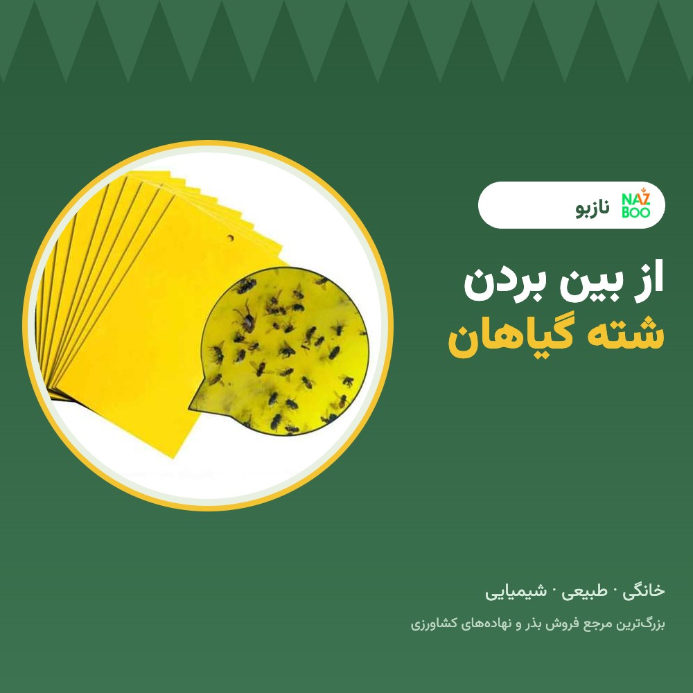 از بین بردن شته؛ روش‌های خانگی، طبیعی و شیمیایی