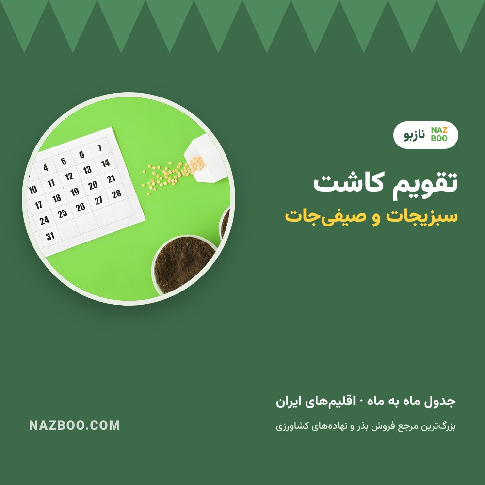 تقویم کاشت سبزیجات؛ جدول زمان کاشت سبزیجات و صیفی‌جات