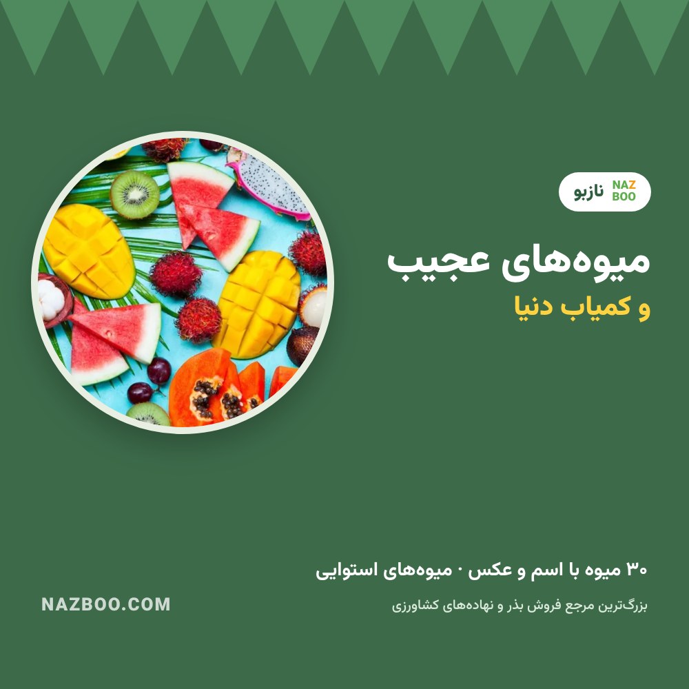 ۳۰ میوه عجیب و کمیاب دنیا با اسم و عکس