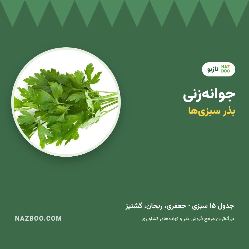 بذر سبزی بعد از چند روز جوانه می‌زند؟ جدول زمان جوانه‌زنی سبزی‌ها
