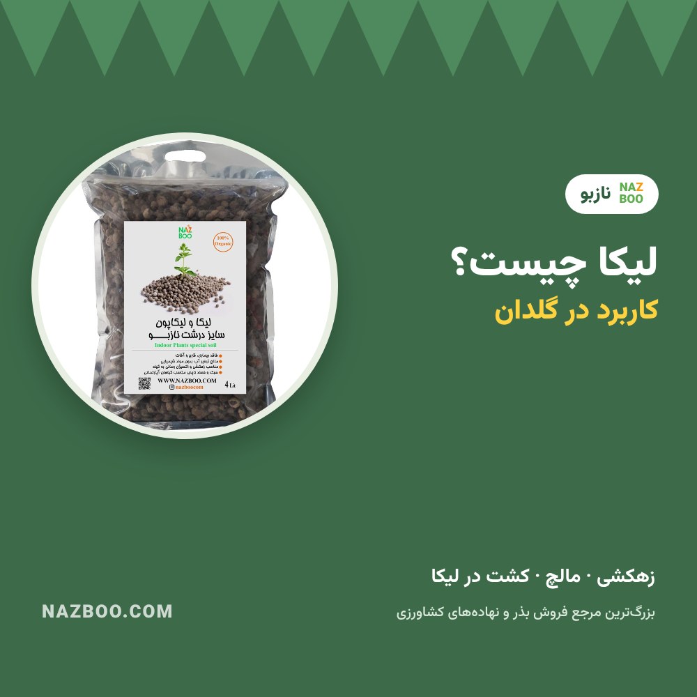 لیکا چیست؟ کاربرد لیکا در گلدان، زهکشی و کشت گیاه در لیکا