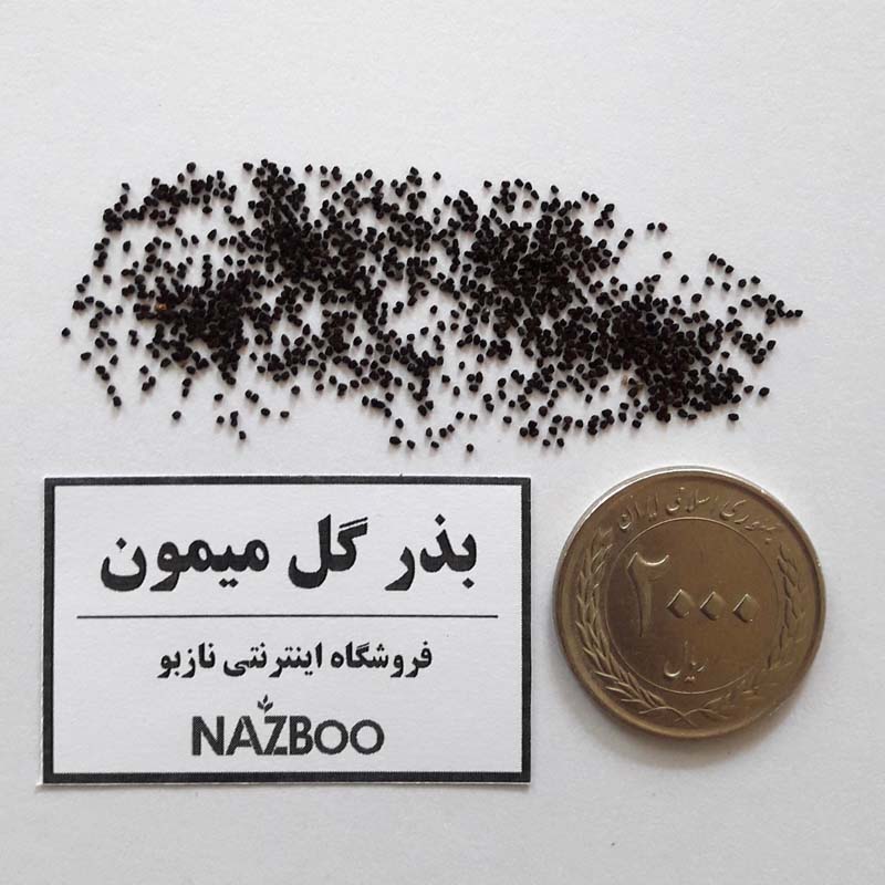 بذر گل میمون - snap dragon