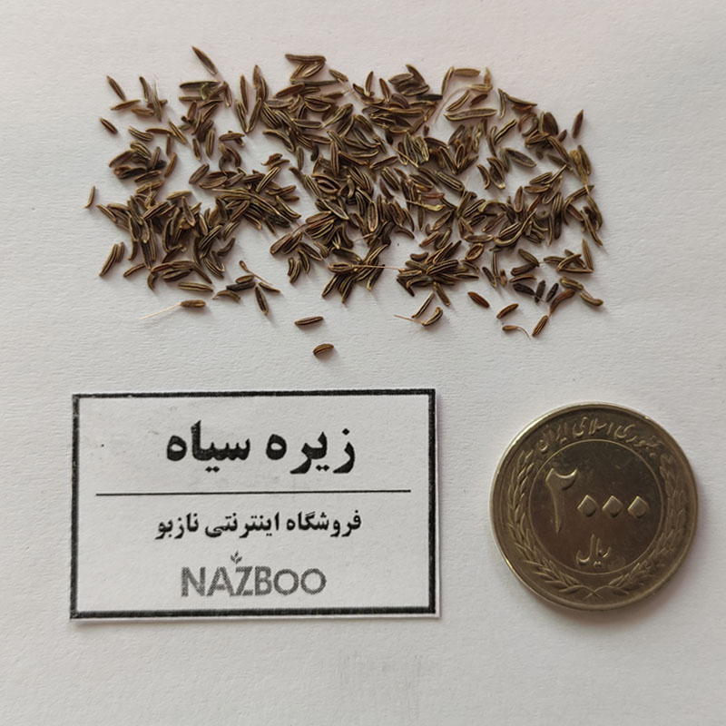 بذر زیره سیاه