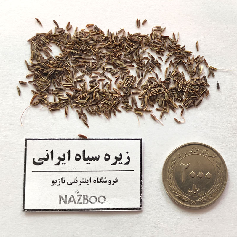 بذر زیره سیاه ایرانی