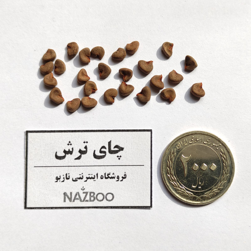 بذر چای ترش