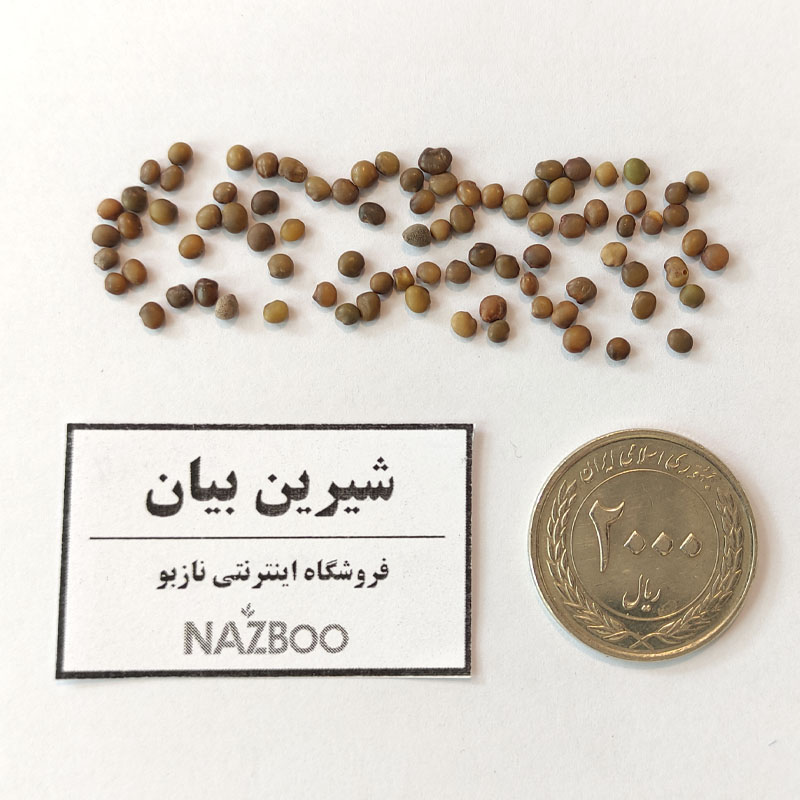 بذر شیرین بیان