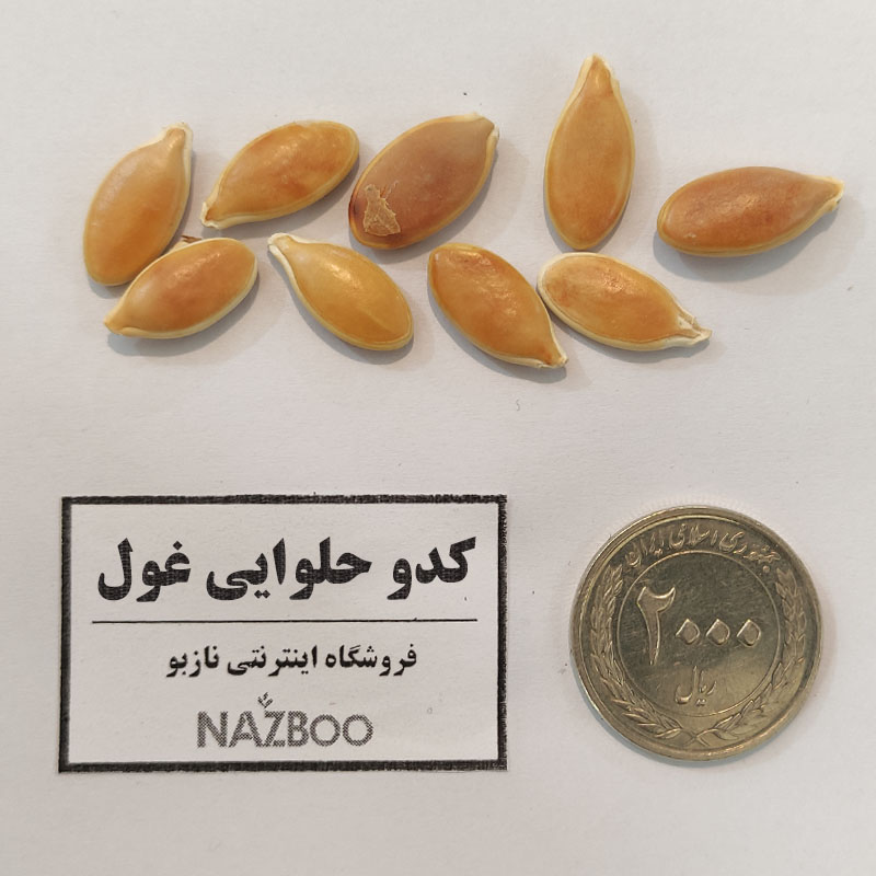 بذر کدو حلوایی غول