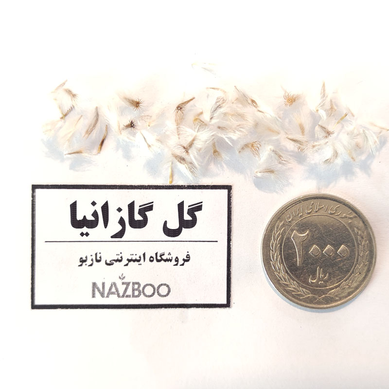 بذر گل گازانیا