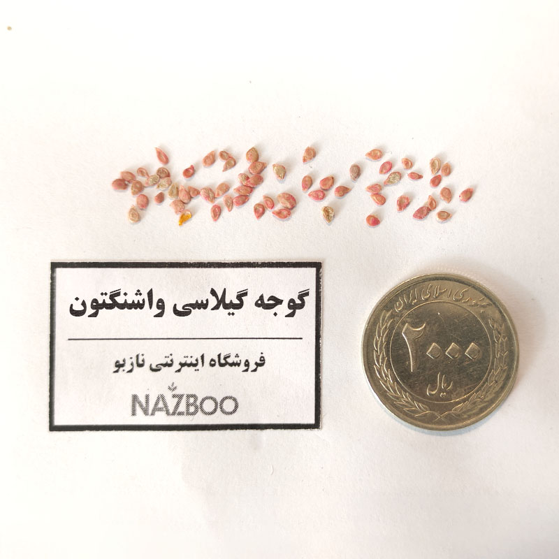 بذر گوجه گیلاسی واشنگتون