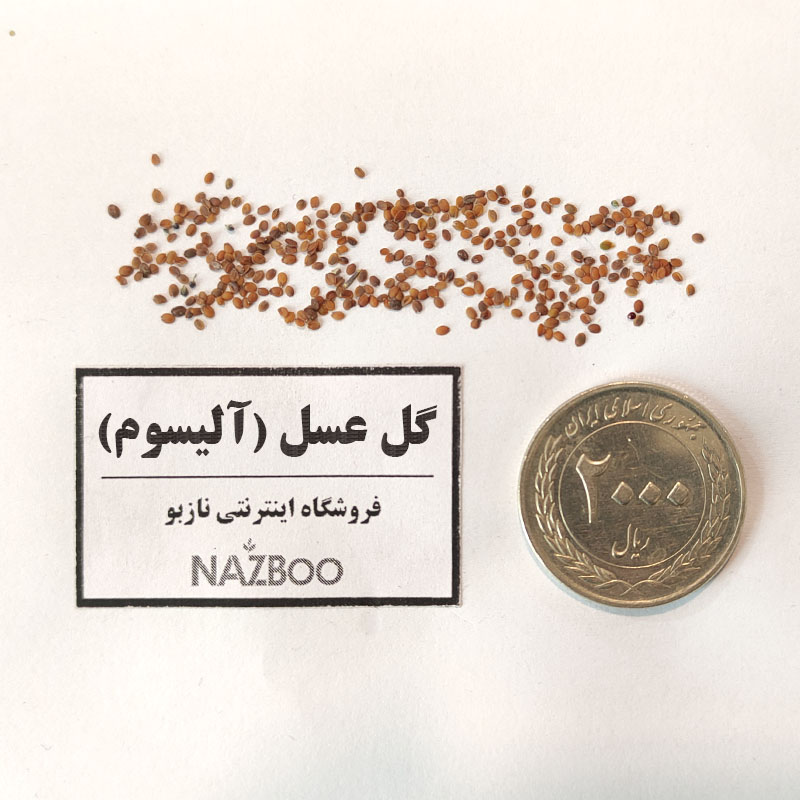 بذر گل عسل_آلیسوم