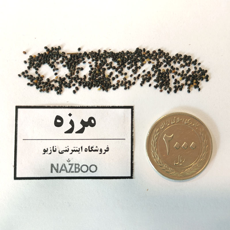 بذر مرزه