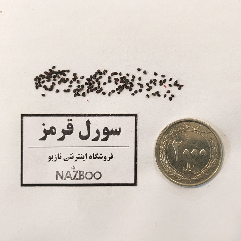 بذر سورل قرمز