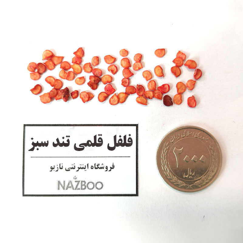 بذر فلفل قلمی تند سبز
