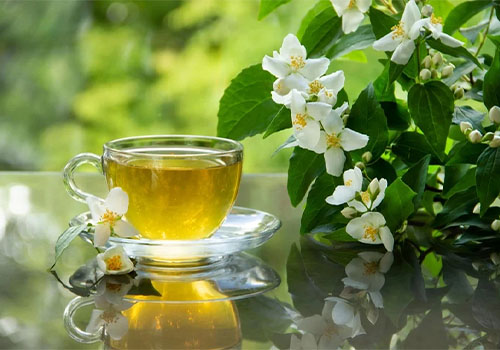 یک فنجان دمنوش گل یاس