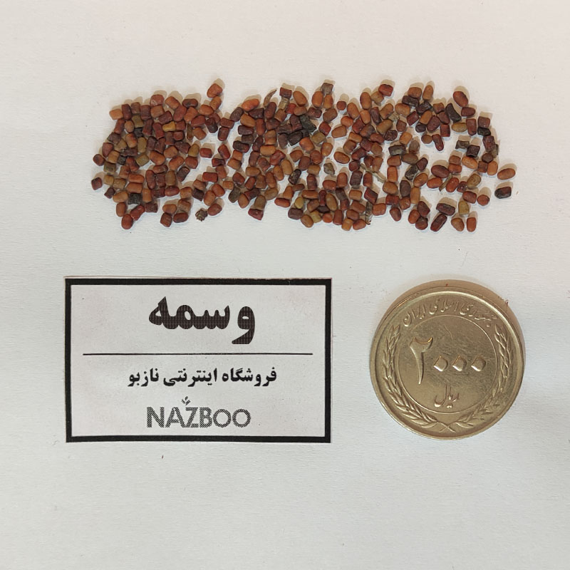 بذر وسمه