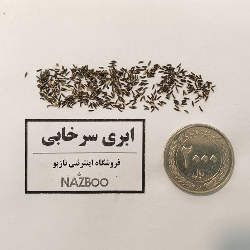 بذر گل ابری سرخابی
