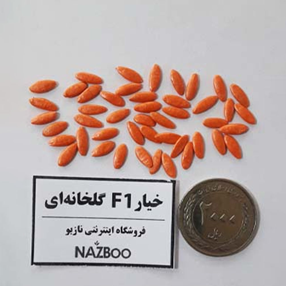بذر خیار هیبرید F1  گلخانه ای