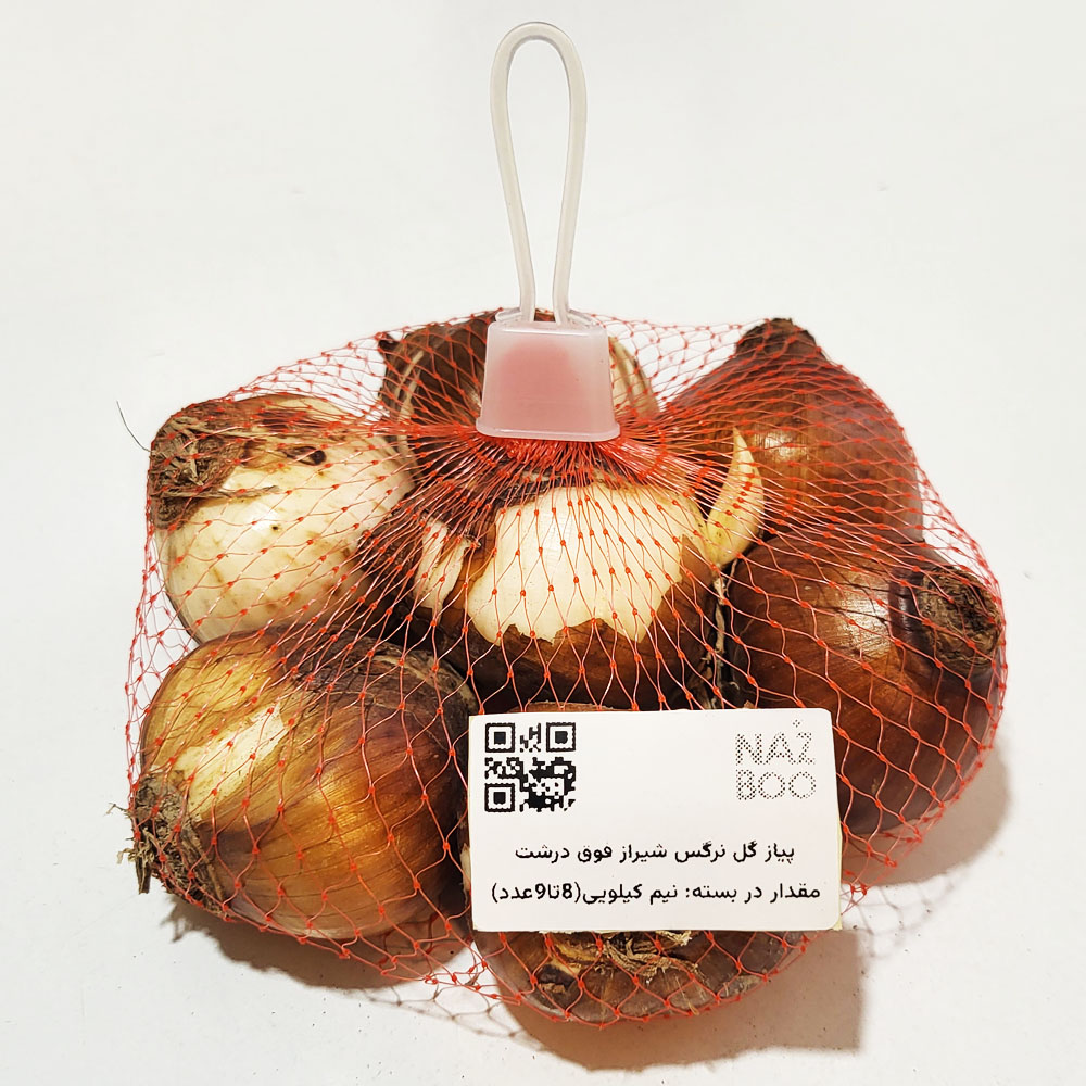 فروش عمده پیاز گل نرگس