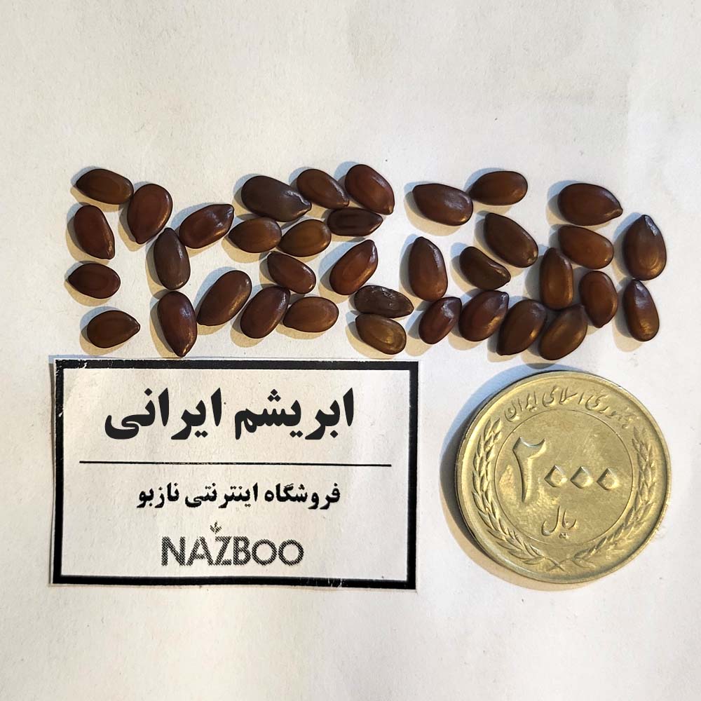 بذر ابریشم ایرانی ی بذر شب خسب