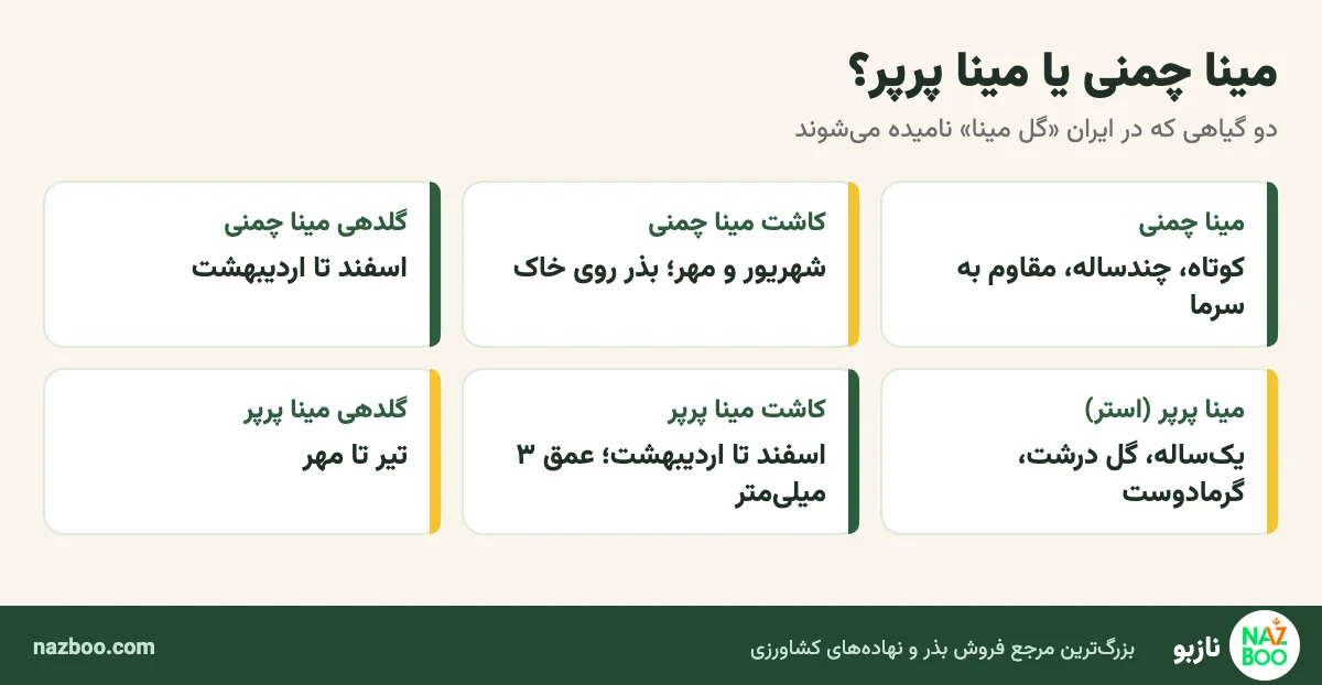 مقایسهی مینا چمنی و مینا پرپر