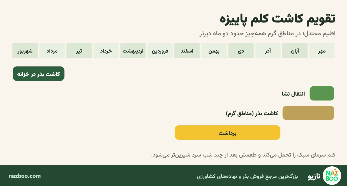 تقویم کاشت بذر، انتقال نشا و برداشت کلم پاییزه