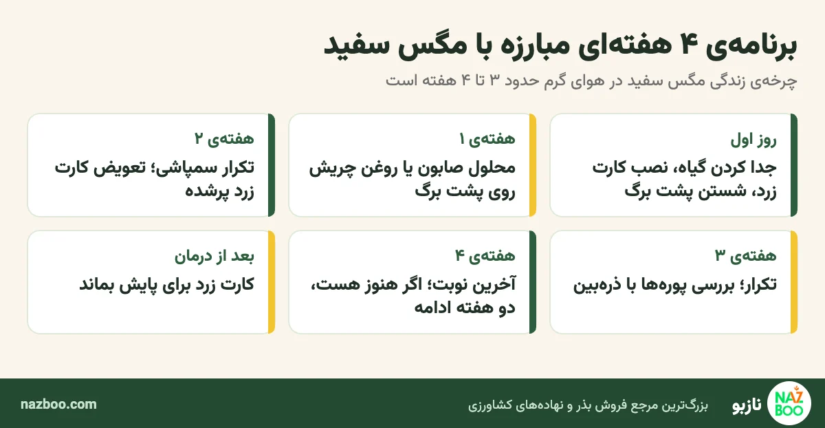 برنامهی چهار هفتهای مبارزه با مگس سفید